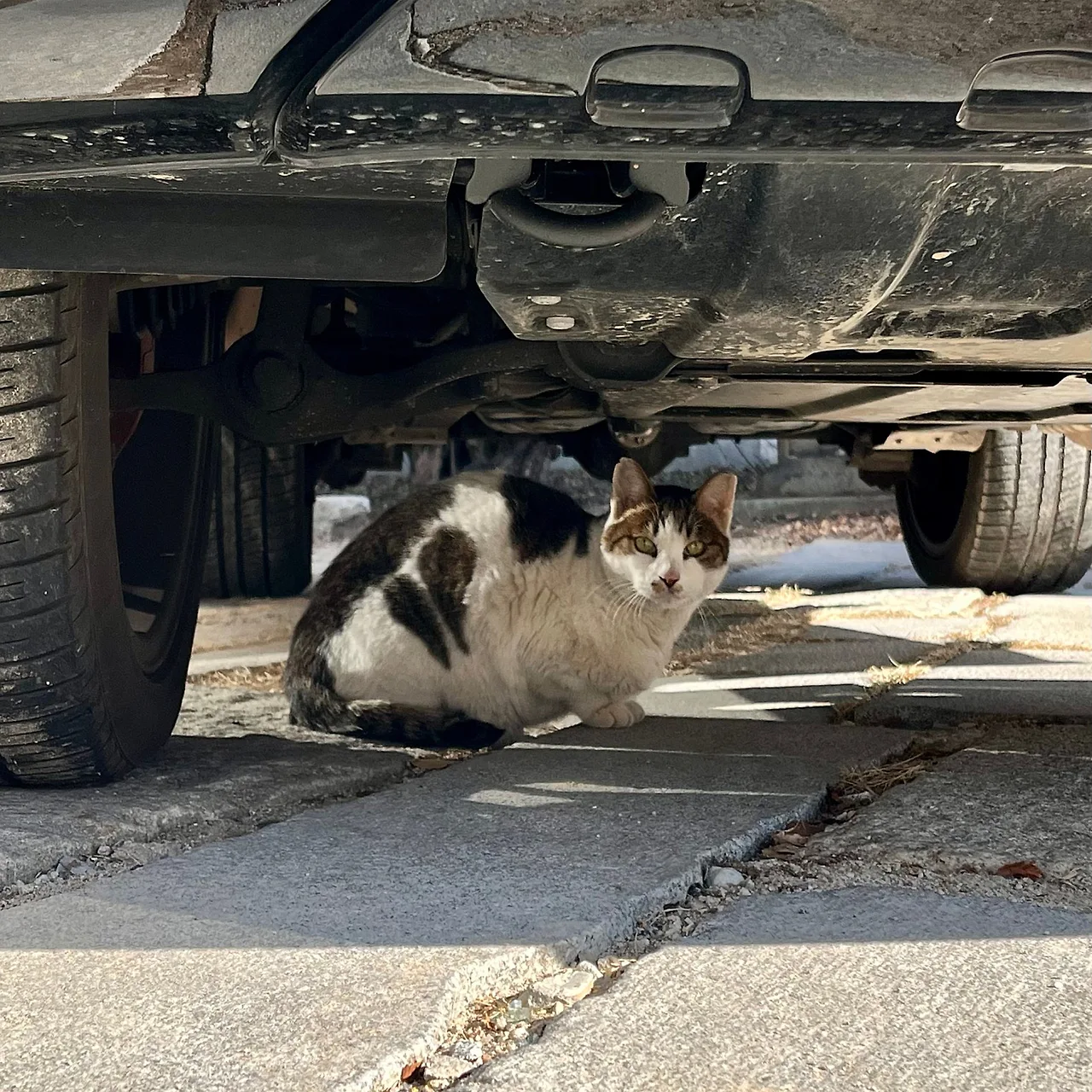 SE-ABE3D42D-C5D6-43BF-9326-E52620C85648.jpg?type=w1600