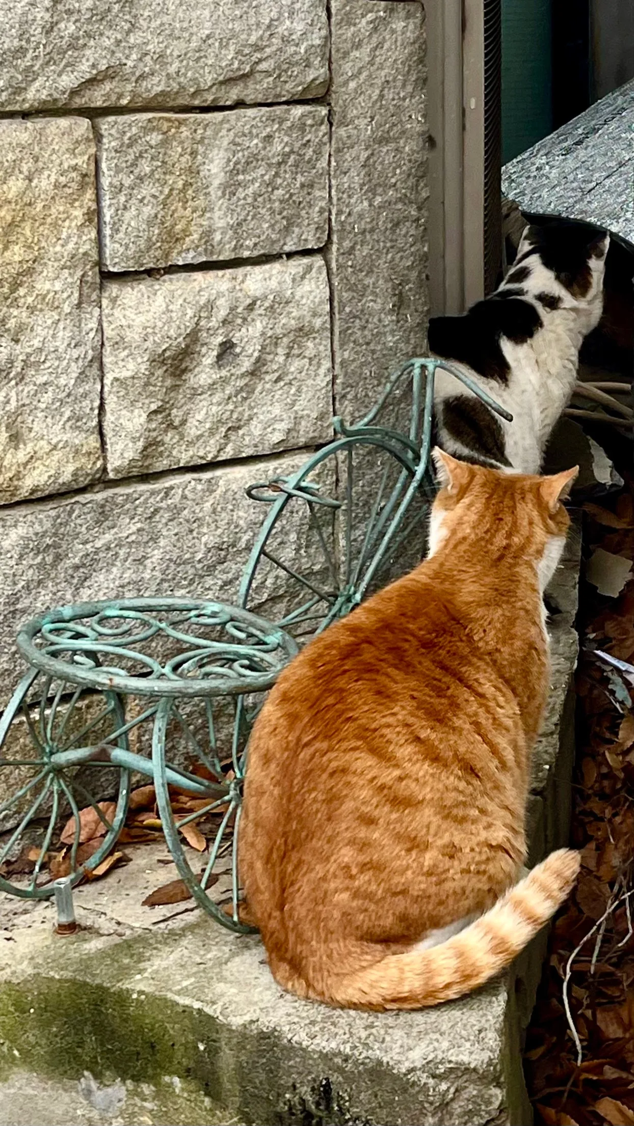 IMG%EF%BC%BF9715.jpg?type=w1600