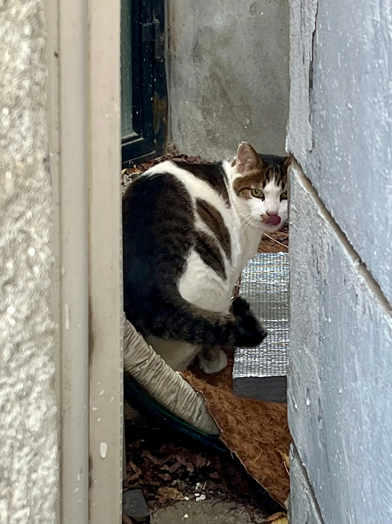 IMG%EF%BC%BF4233.jpg?type=w1600