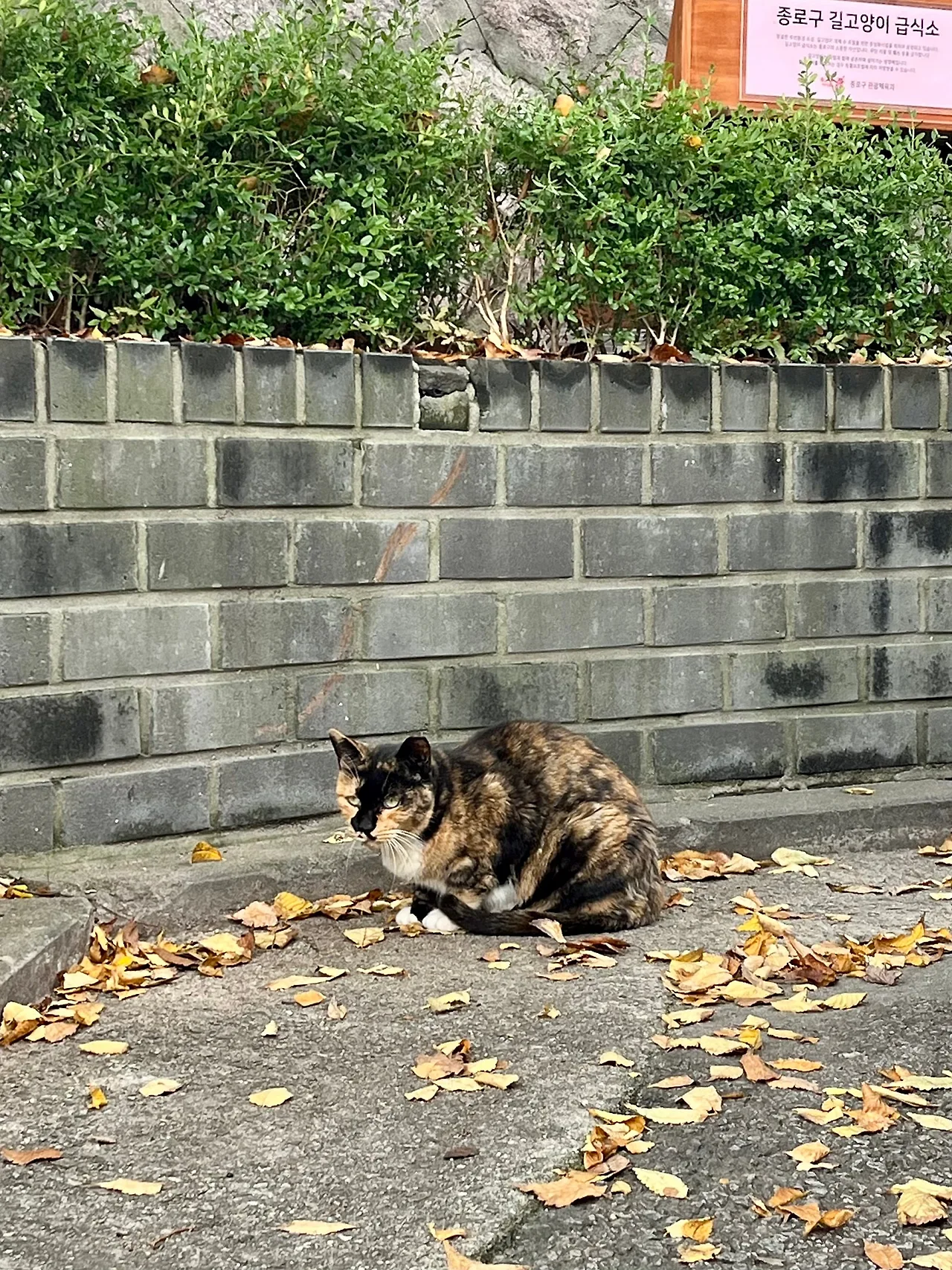 IMG%EF%BC%BF3458.jpg?type=w1600