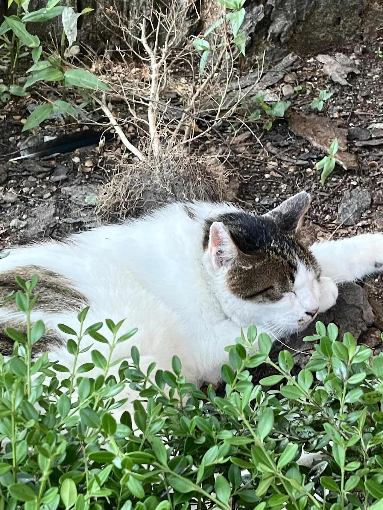 IMG%EF%BC%BF8920.jpg?type=w1600