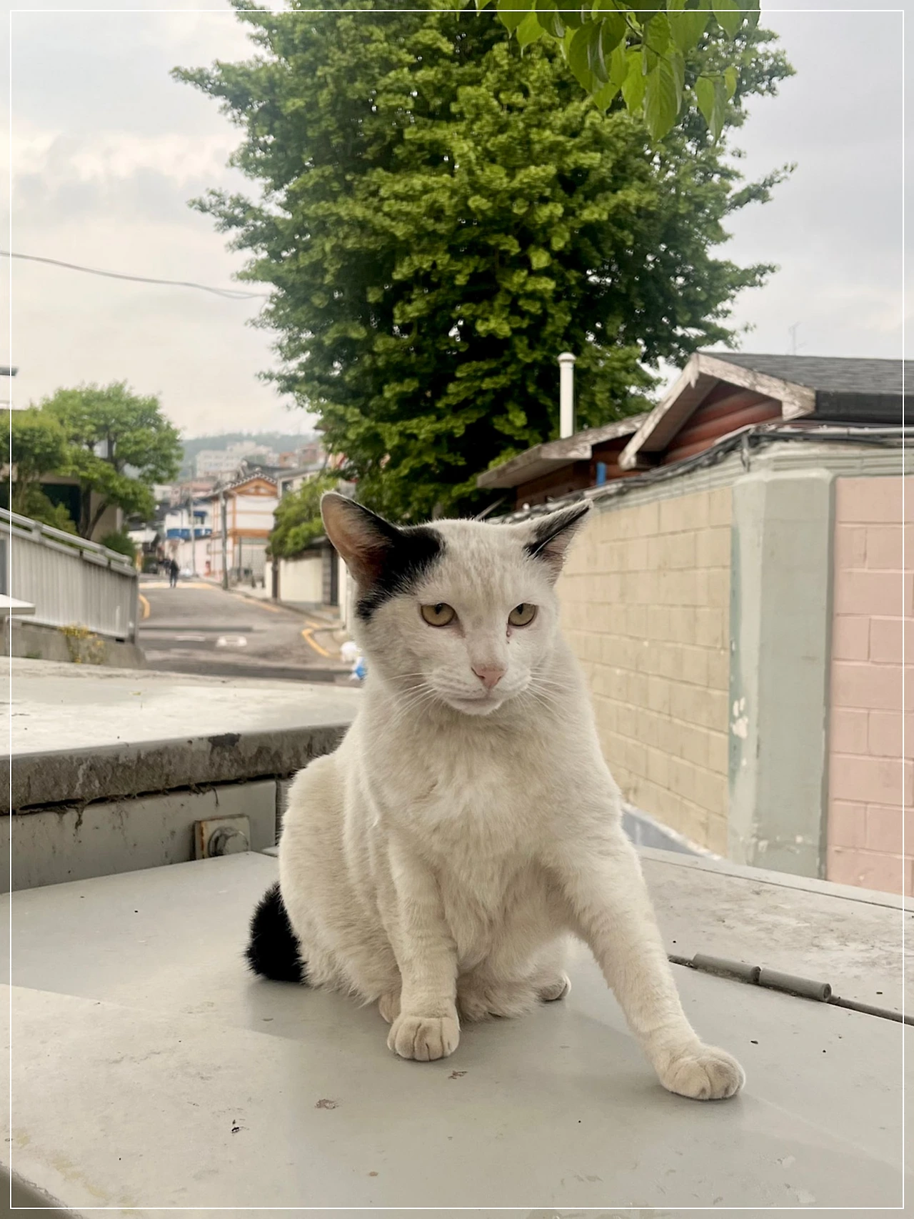 IMG_4165.jpg?type=w1600