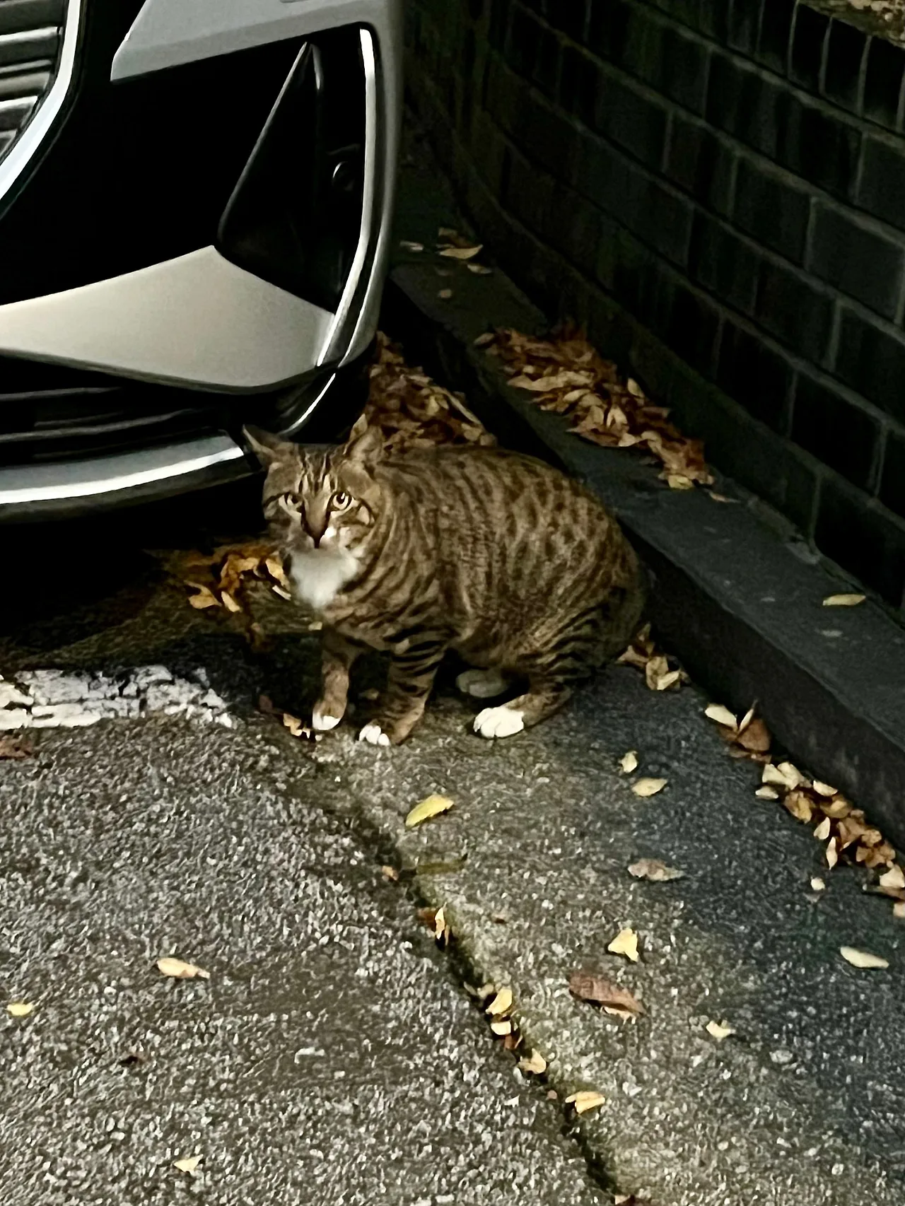 IMG%EF%BC%BF3532.jpg?type=w1600