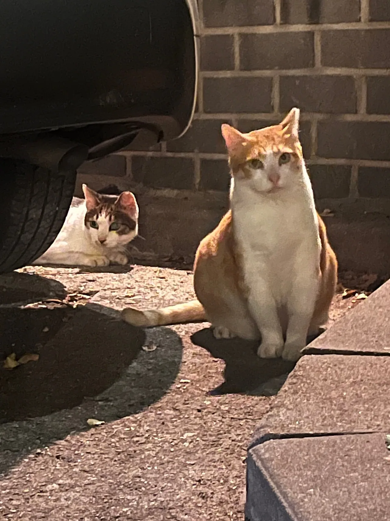 IMG%EF%BC%BF1429.jpg?type=w1600