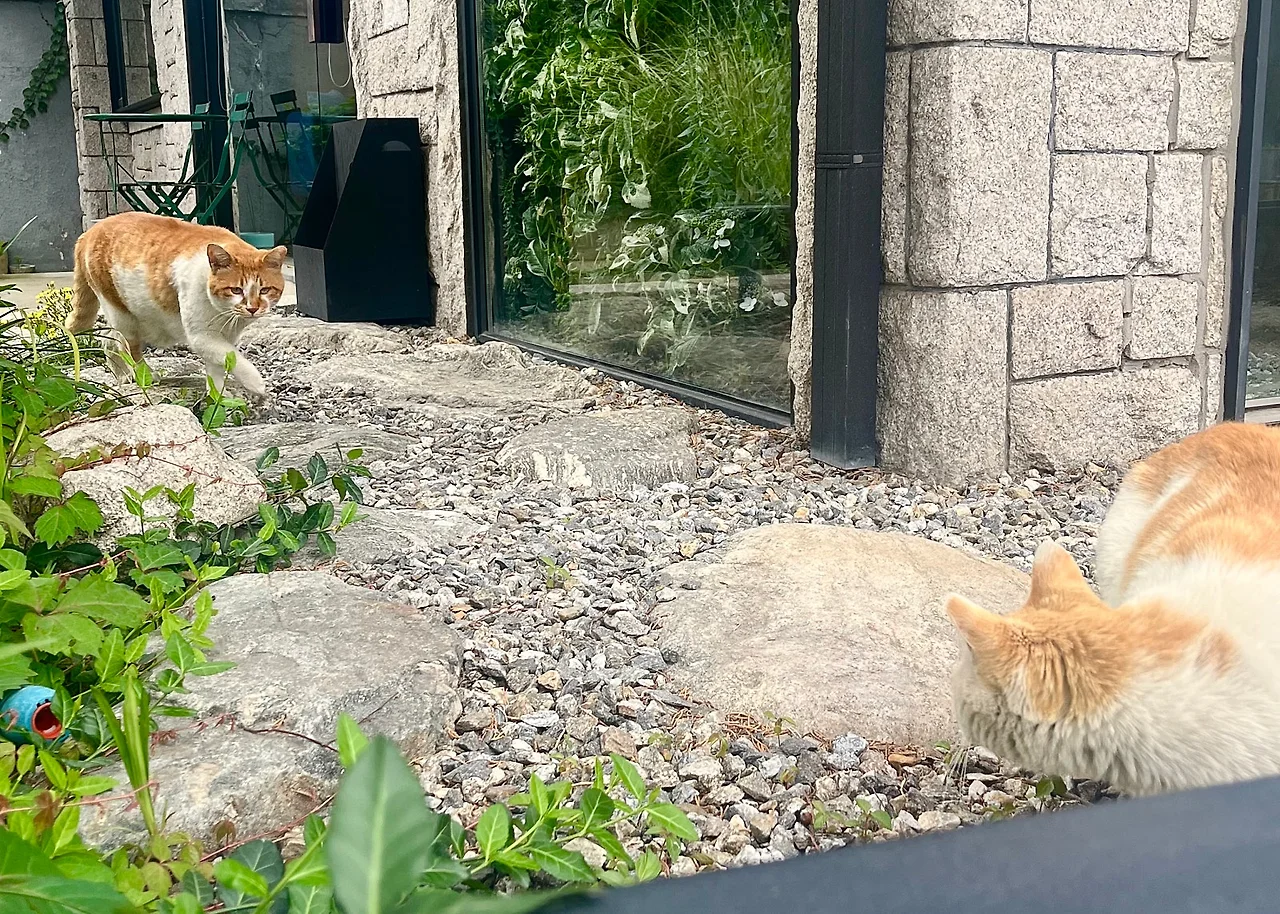 IMG_4691.jpg?type=w1600