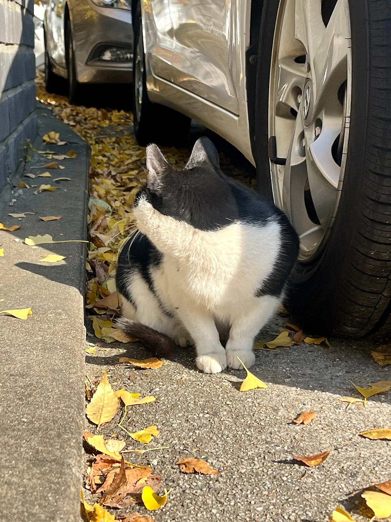 IMG%EF%BC%BF4976.jpg?type=w1600