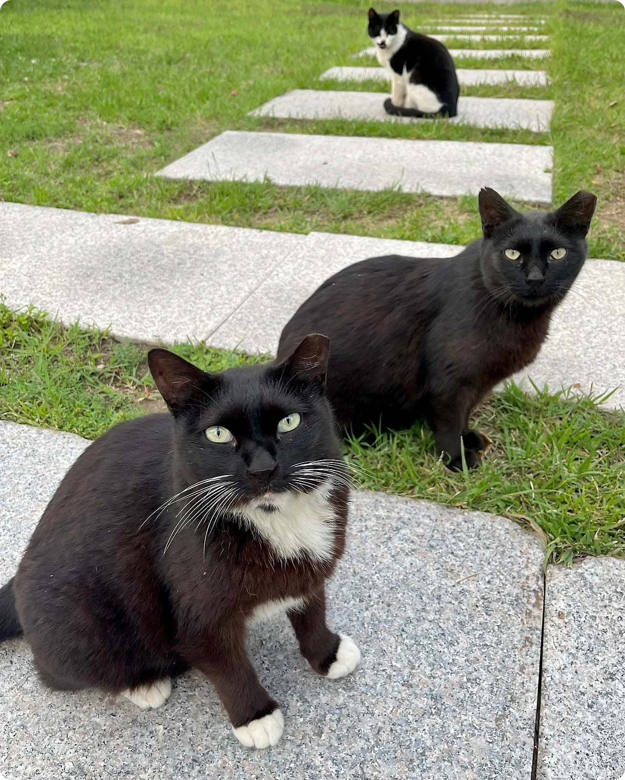 IMG_4620.jpg?type=w1600