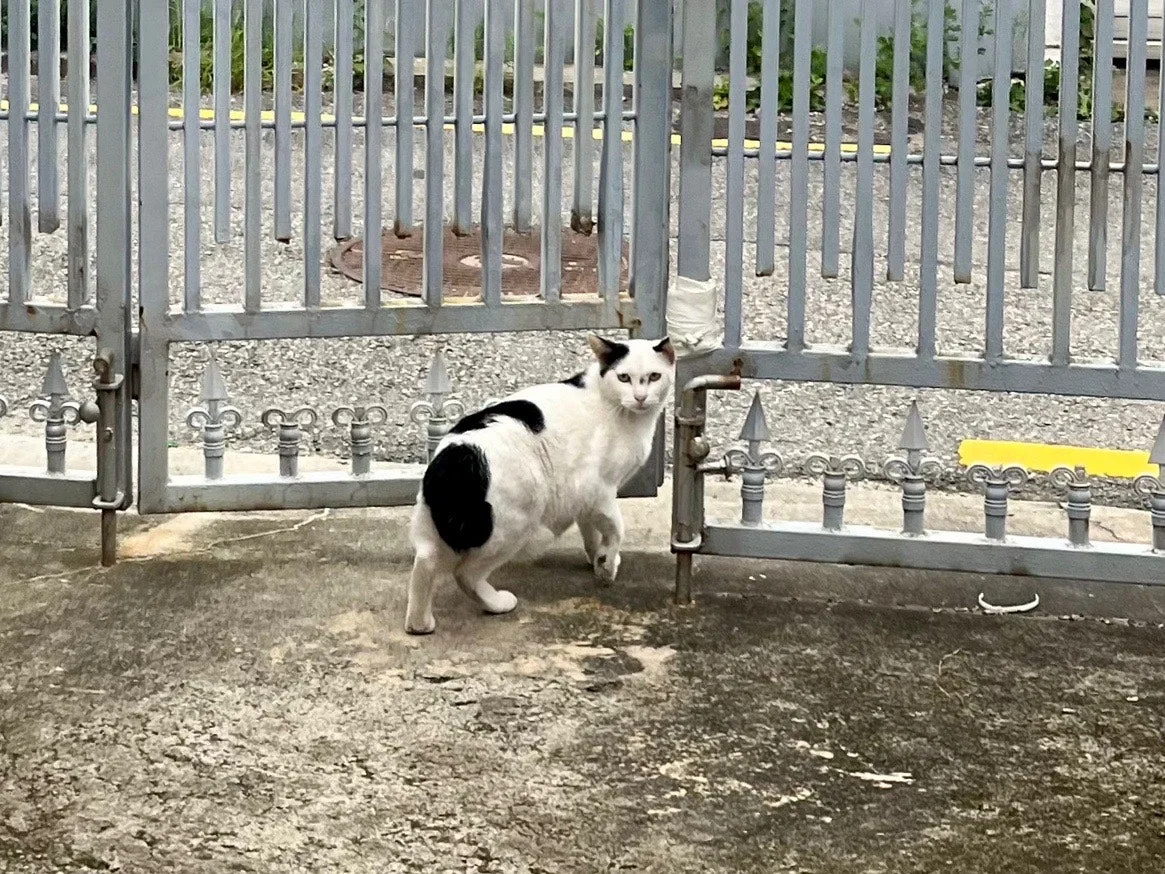 output%EF%BC%BF3522321203.jpg?type=w1600