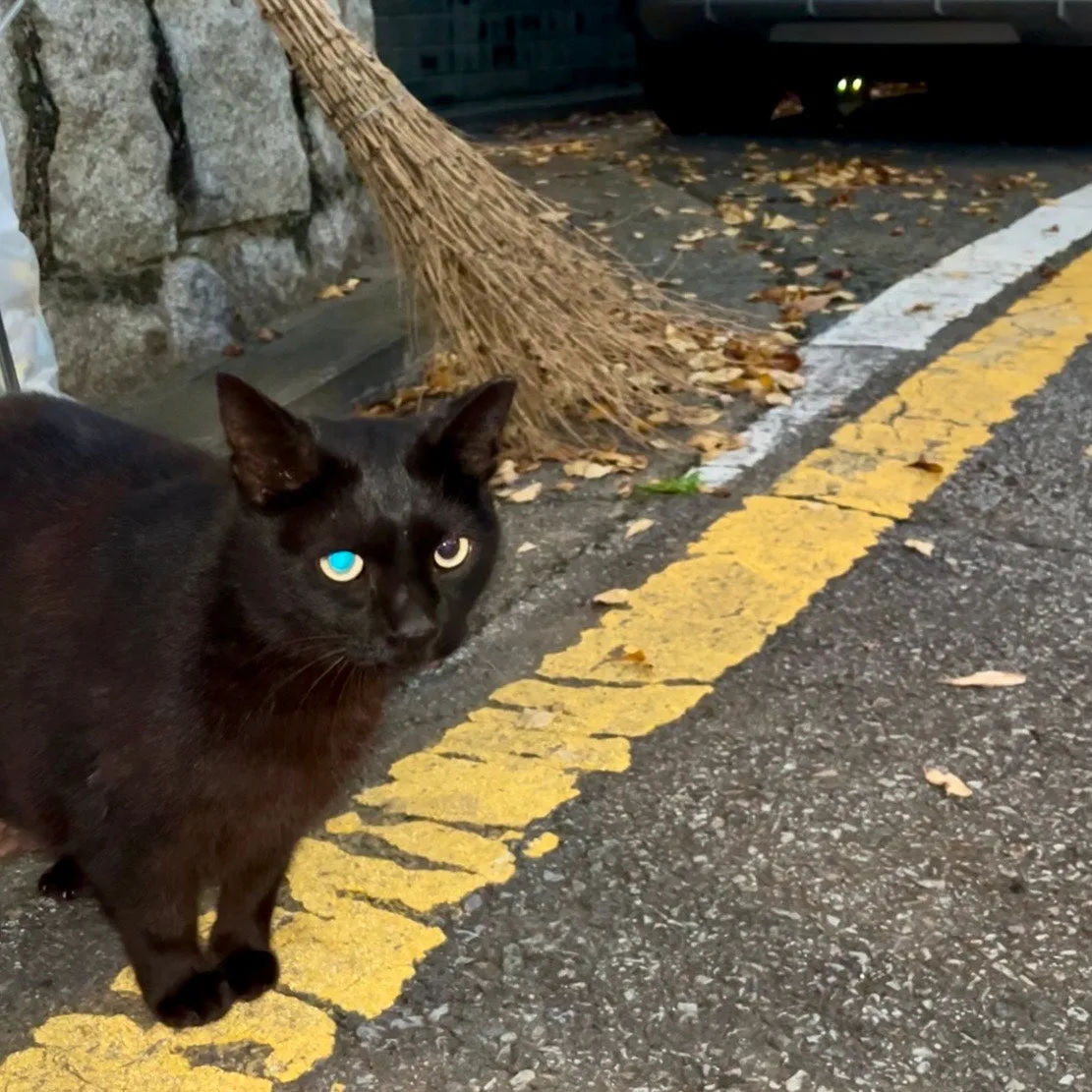 IMG%EF%BC%BF3540.jpg?type=w1600