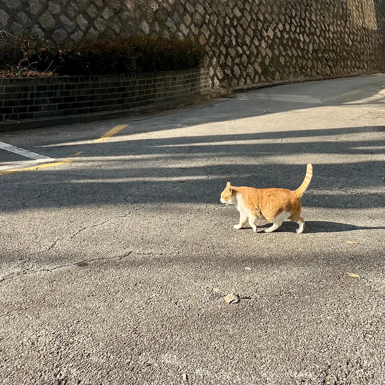 IMG%EF%BC%BF8956.jpg?type=w1600