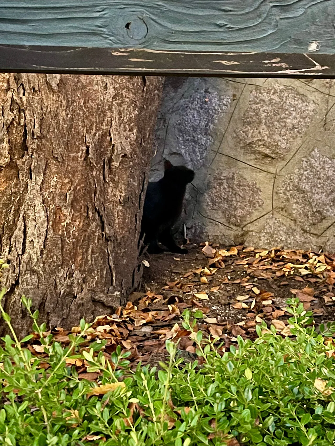 IMG%EF%BC%BF3535.jpg?type=w1600