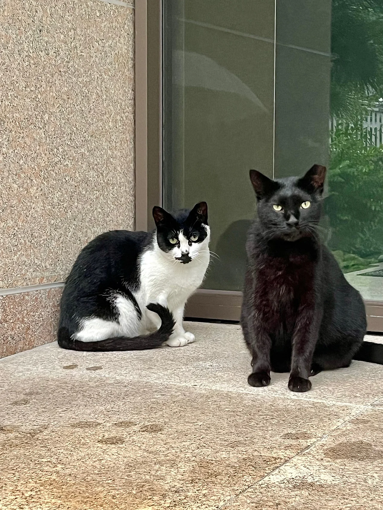 IMG%EF%BC%BF0839.jpg?type=w1600