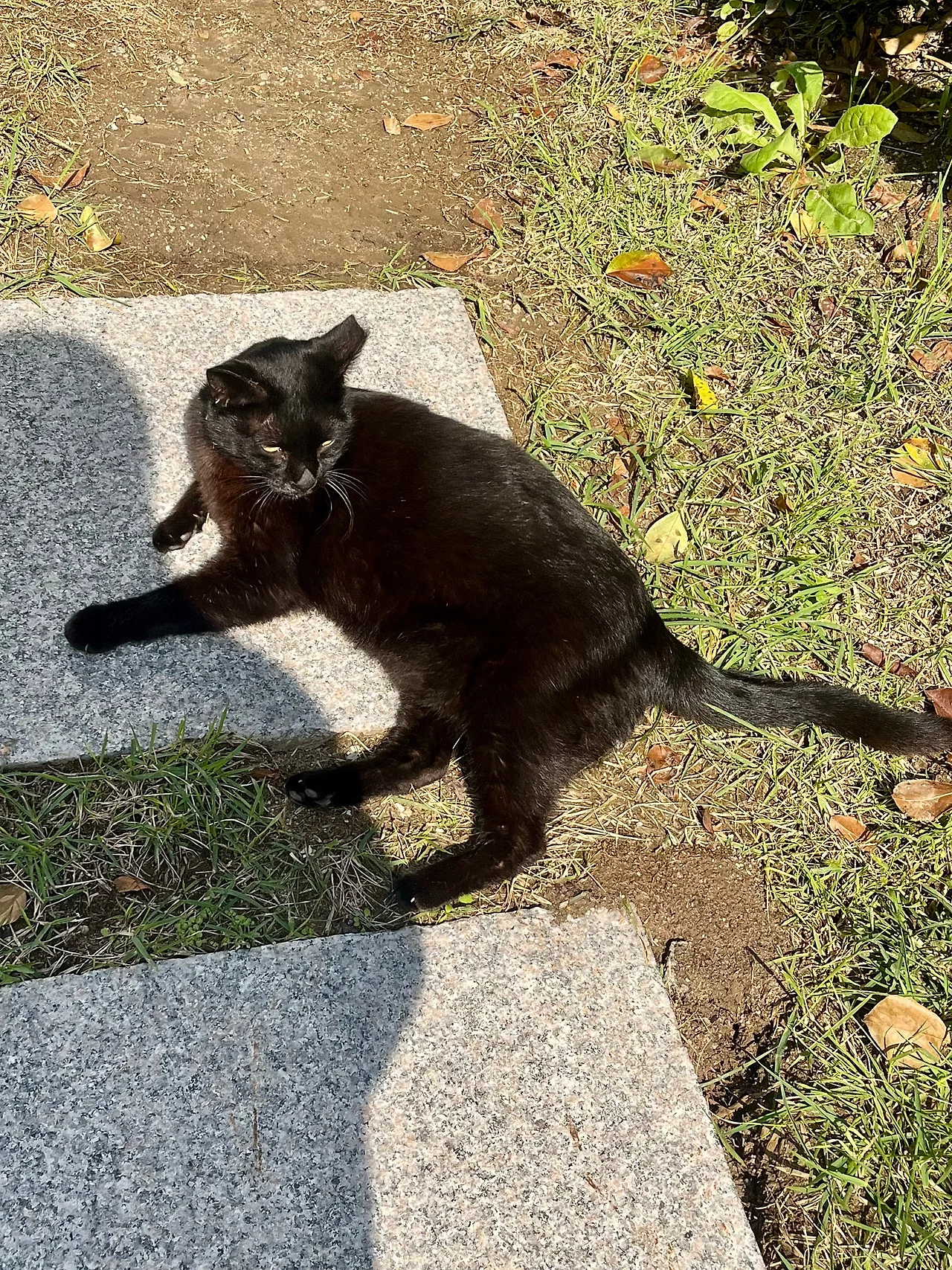 IMG%EF%BC%BF3414.jpg?type=w1600