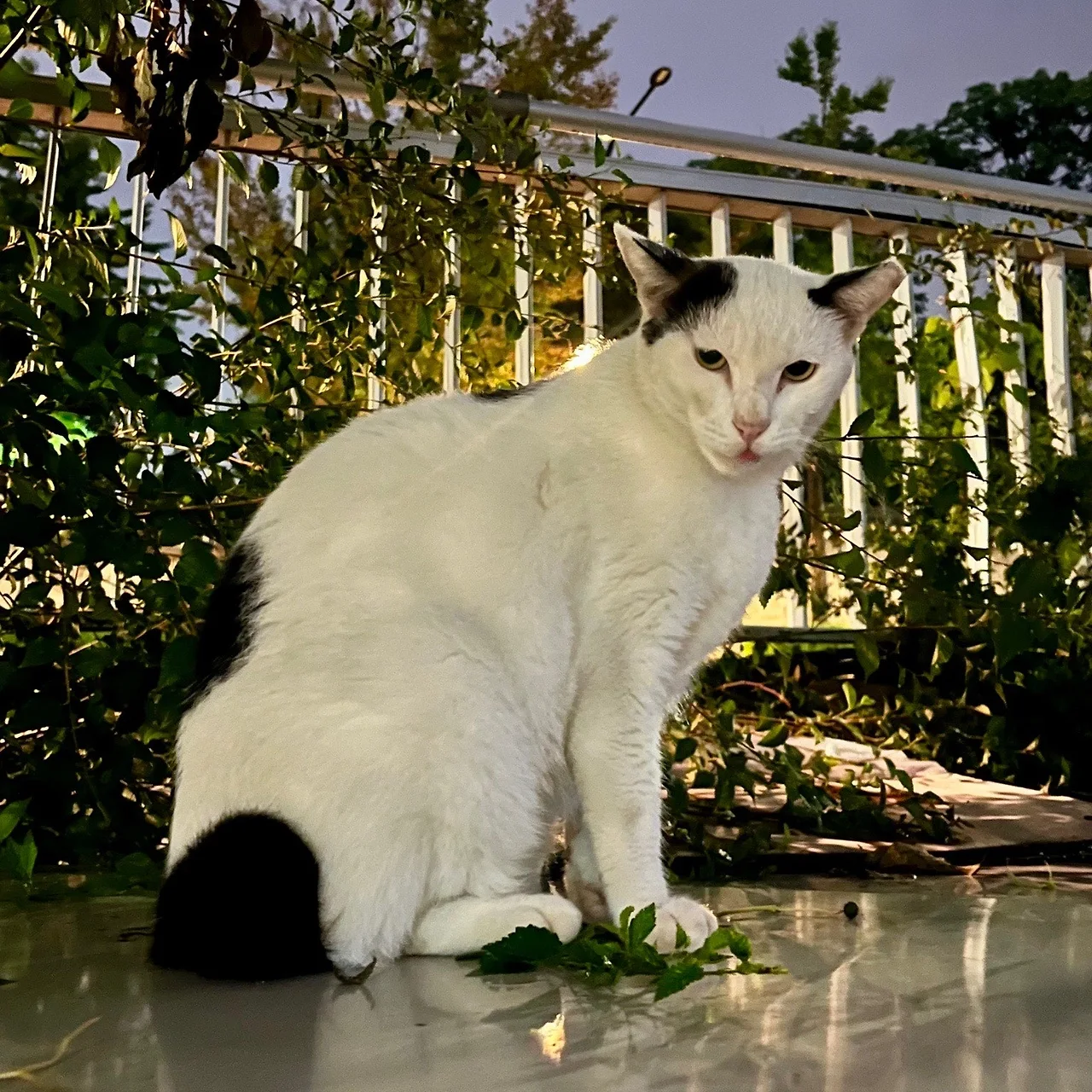 output%EF%BC%BF3754765179.jpg?type=w1600