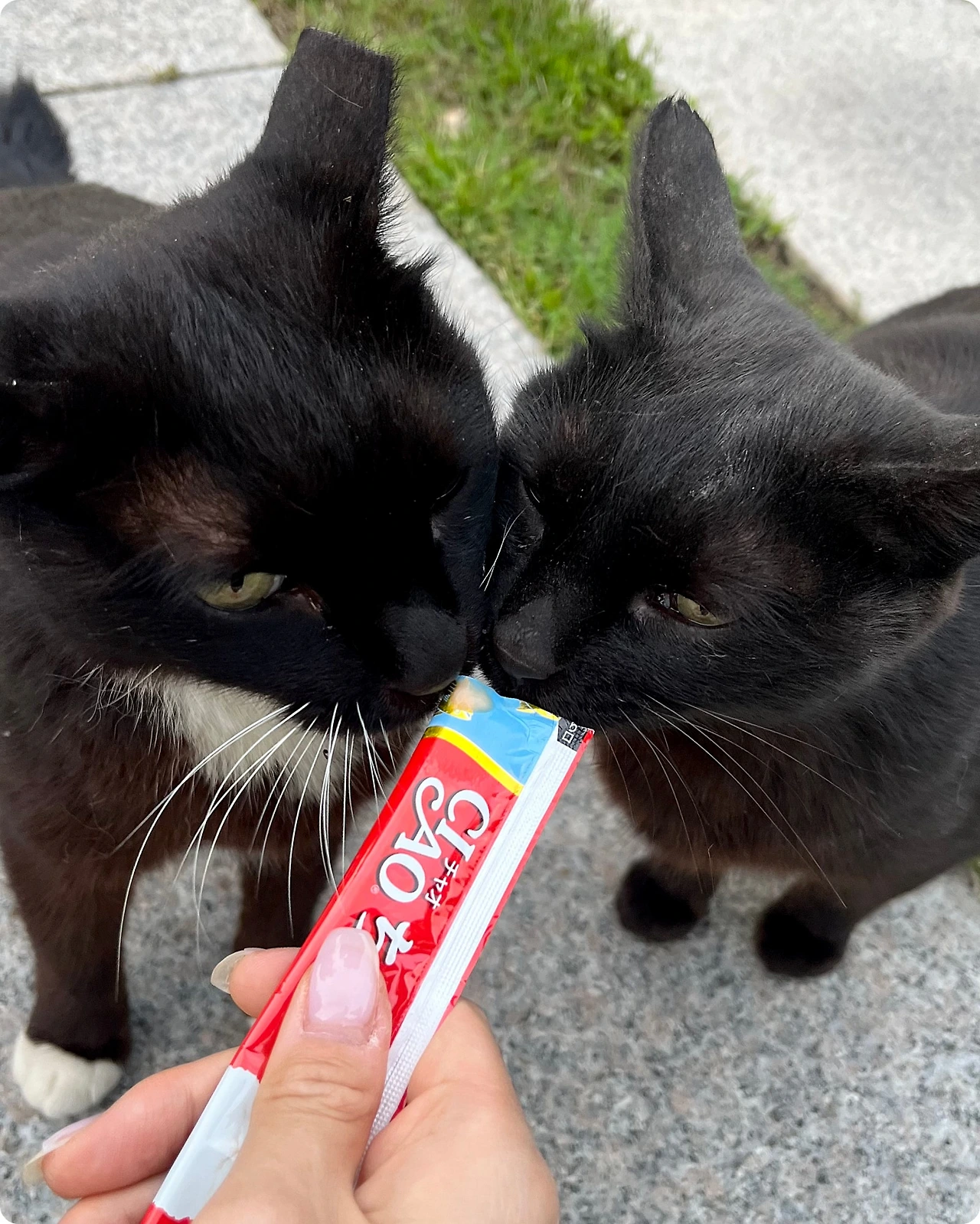 IMG_4610.jpg?type=w1600