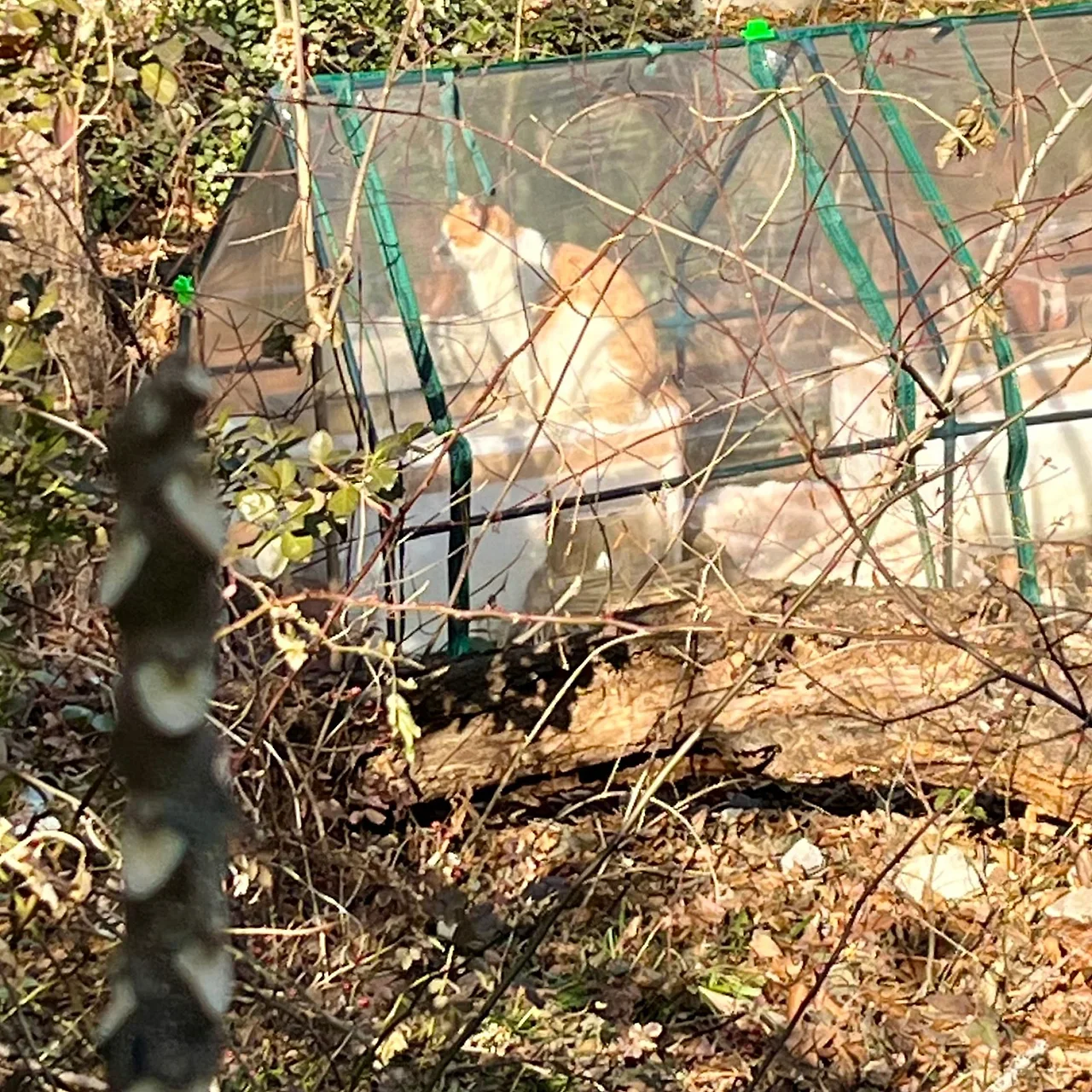 SE-A1CF7AD8-7E44-4948-86D0-BB14B57D82BA.jpg?type=w1600