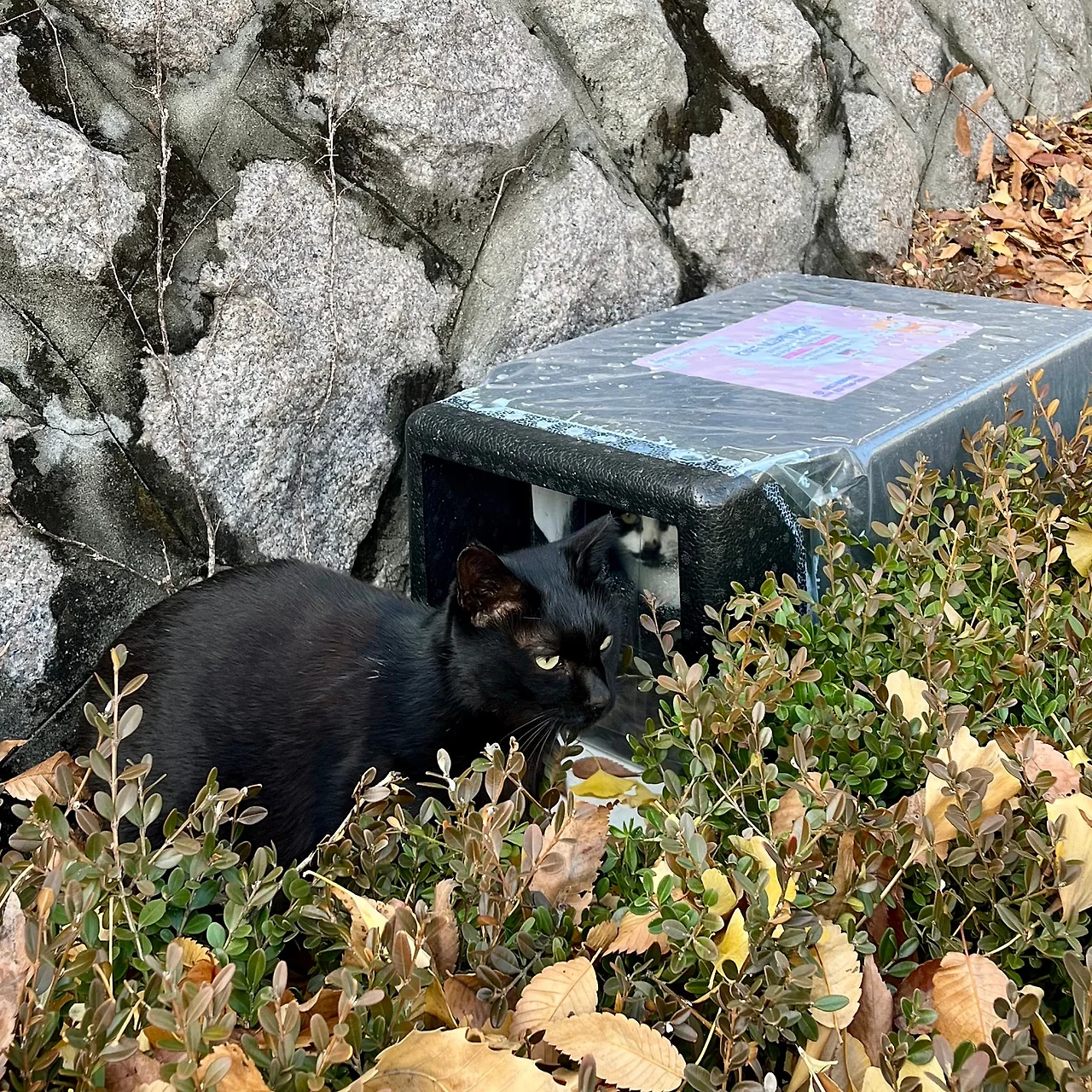 IMG%EF%BC%BF9472.jpg?type=w1600