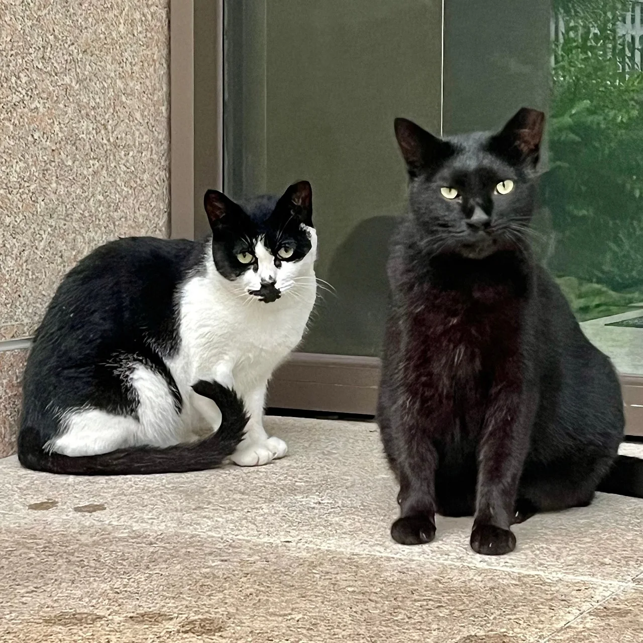 SE-8A99D3C3-78AC-4875-93E2-DA49711AE853.jpg?type=w1600