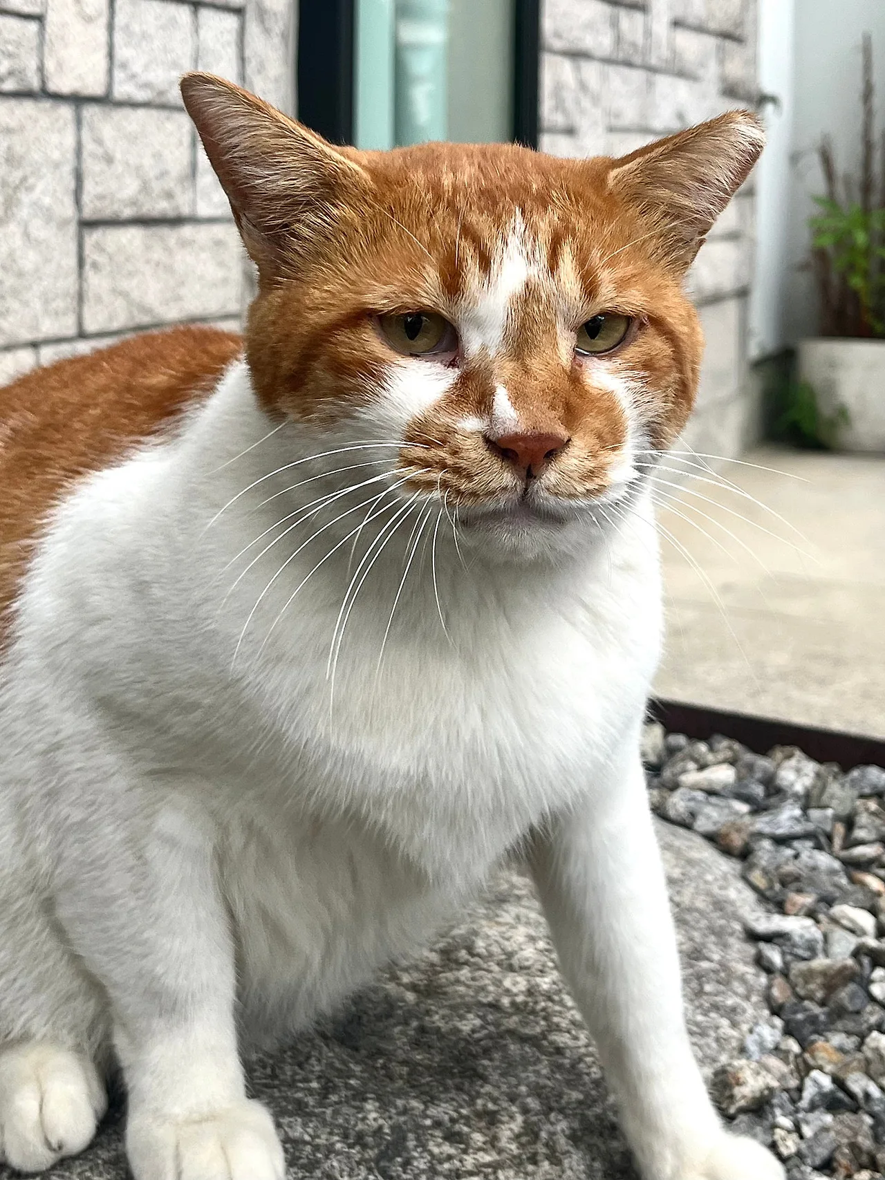 IMG%EF%BC%BF0705.jpg?type=w1600