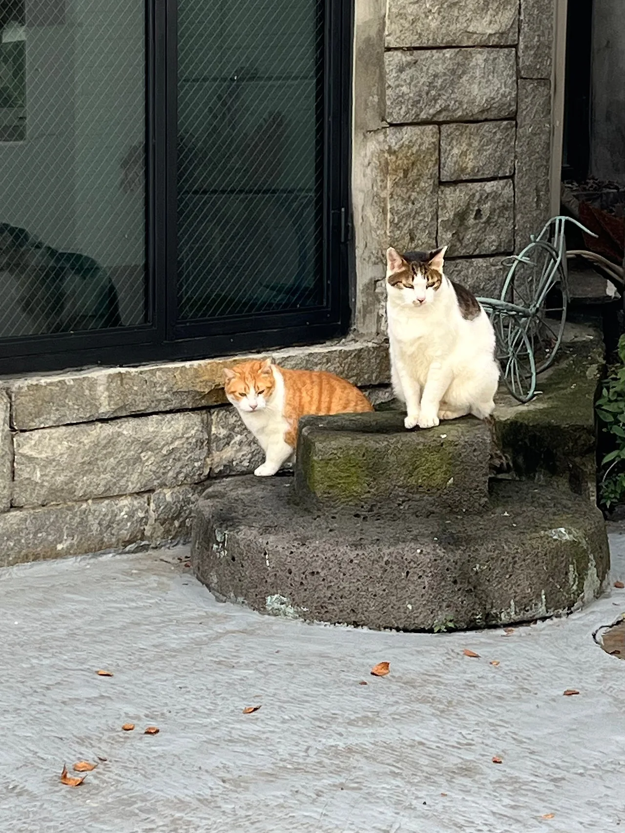 IMG%EF%BC%BF2290.jpg?type=w1600