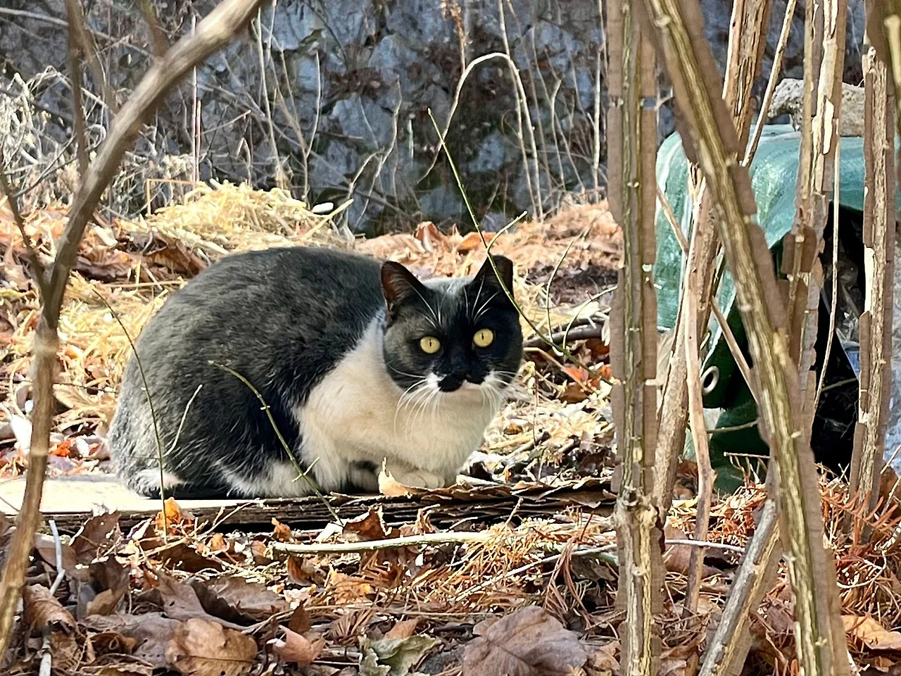 SE-8660FE36-7D4C-4F61-B1CD-D19DFAC1A608.jpg?type=w1600