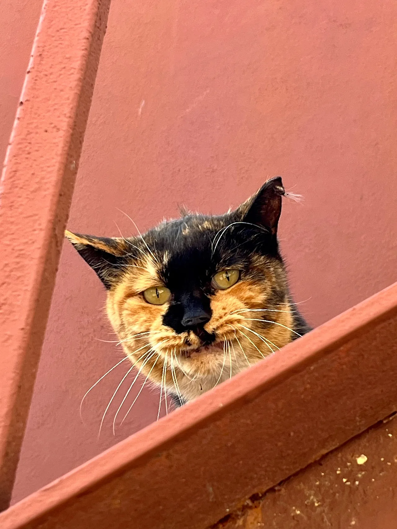 IMG%EF%BC%BF9981.jpg?type=w1600