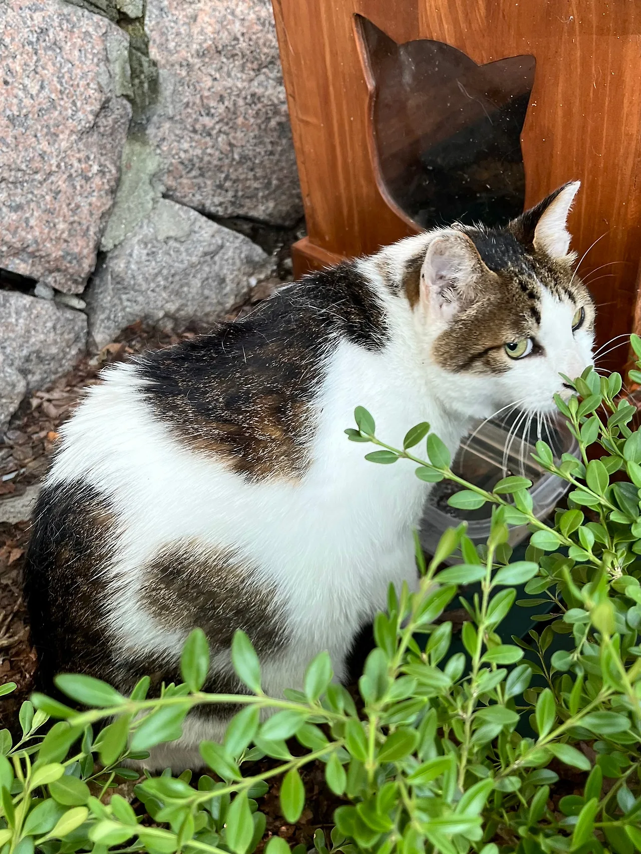 IMG%EF%BC%BF8930.jpg?type=w1600