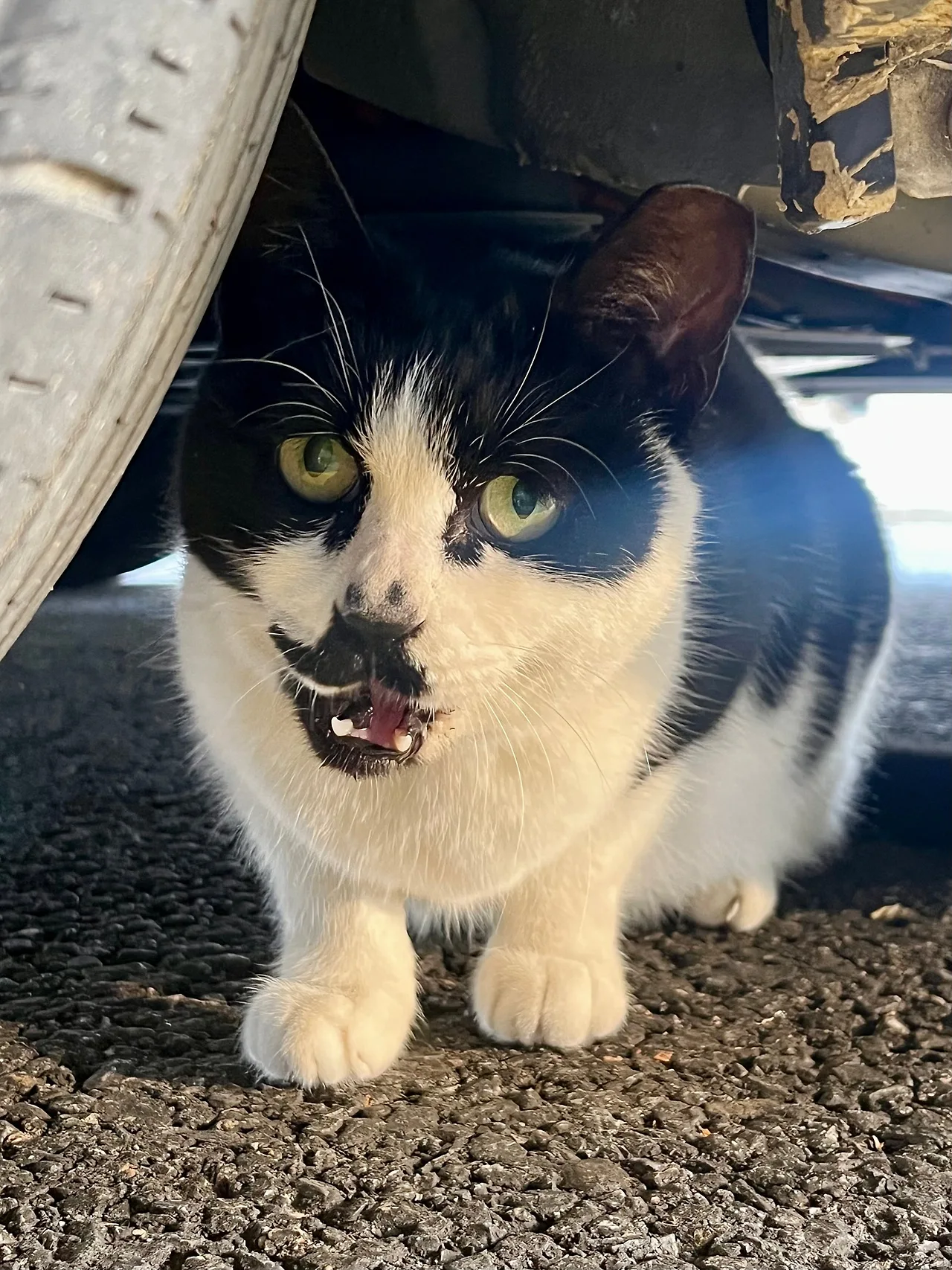 IMG%EF%BC%BF4243.jpg?type=w1600