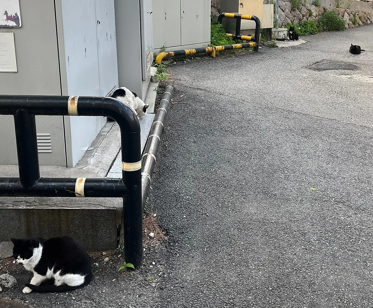 IMG%EF%BC%BF4012.jpg?type=w1600