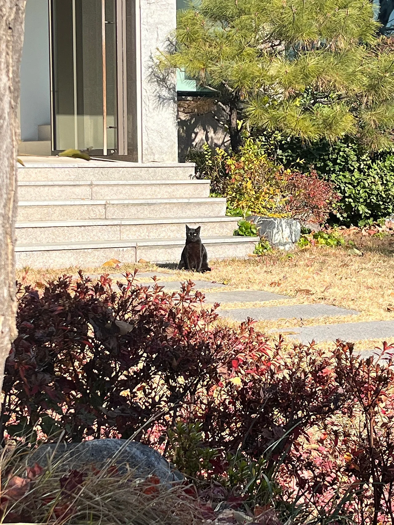 IMG%EF%BC%BF8512.jpg?type=w1600