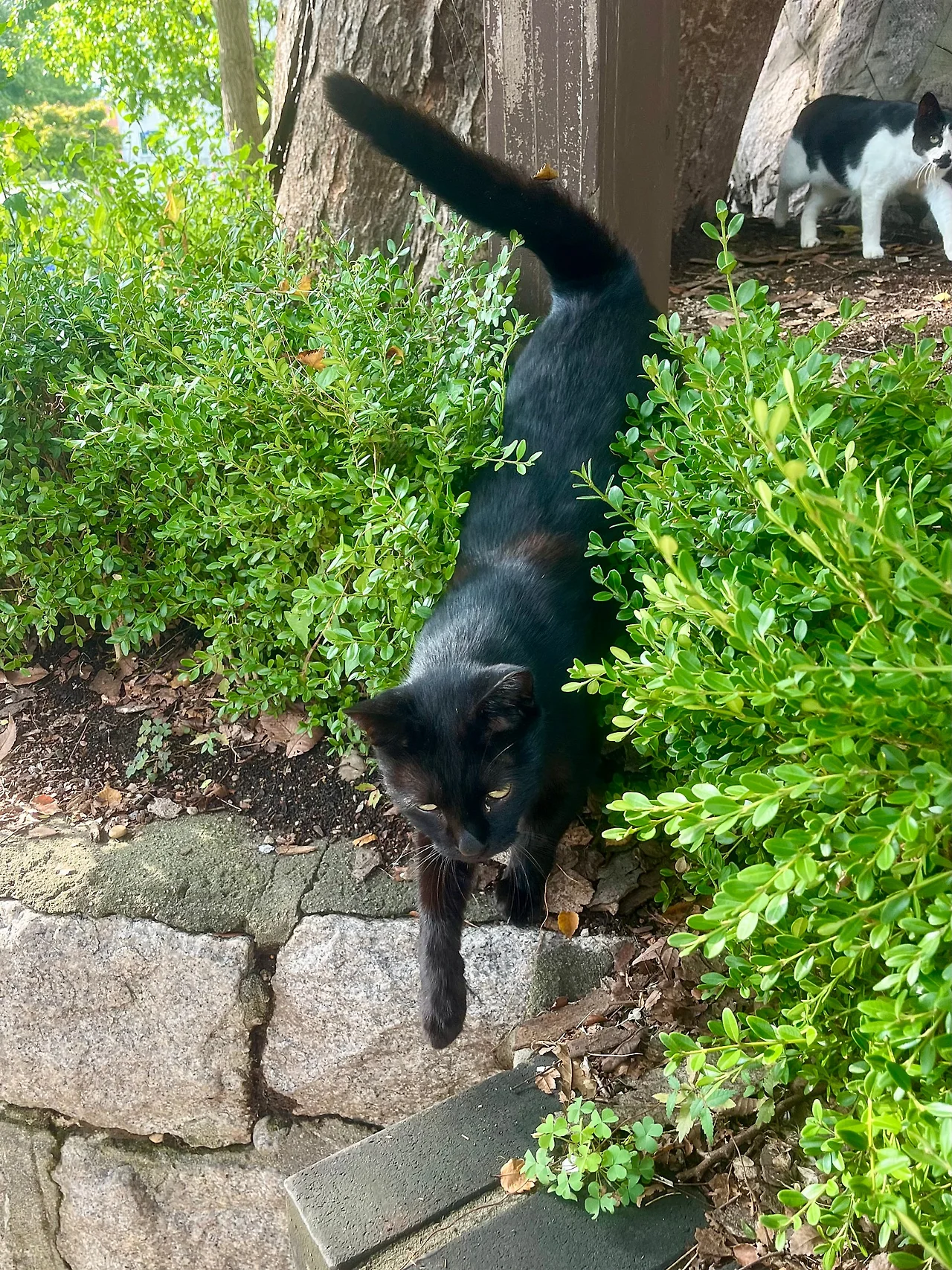 IMG%EF%BC%BF2237.jpg?type=w1600