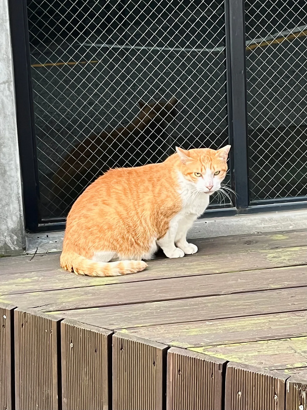 IMG%EF%BC%BF9991.jpg?type=w1600