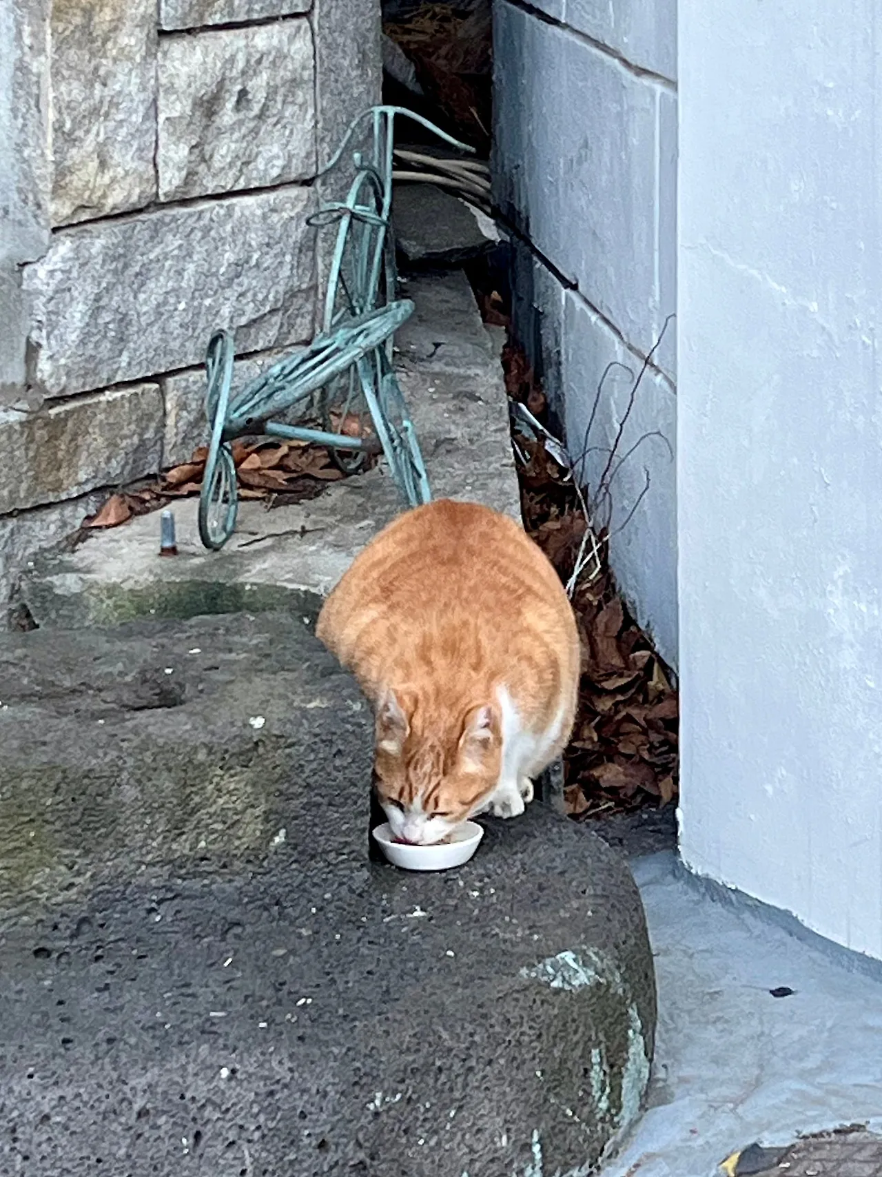 IMG%EF%BC%BF0725.jpg?type=w1600