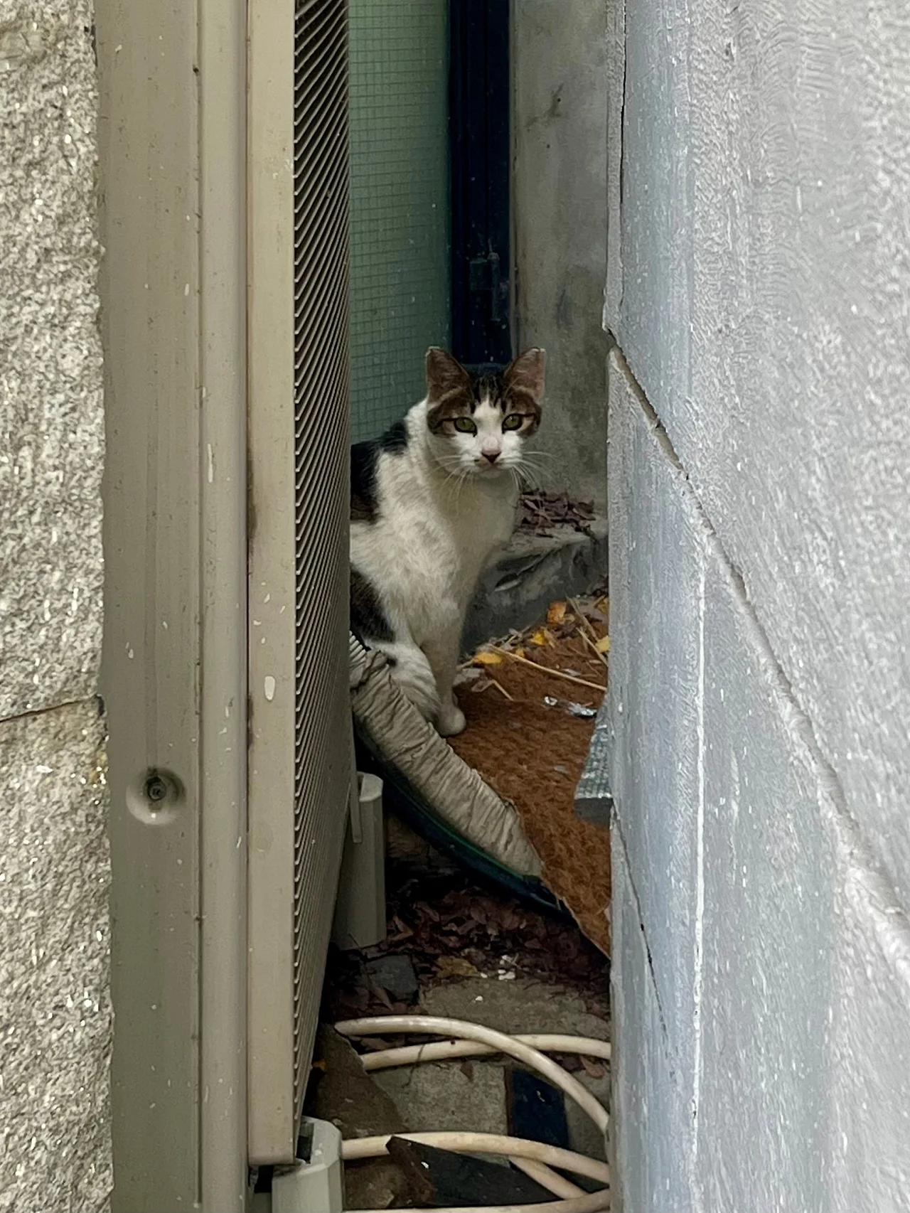 IMG%EF%BC%BF4166.jpg?type=w1600