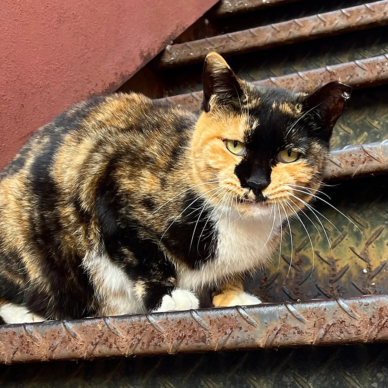 IMG%EF%BC%BF9421.jpg?type=w1600