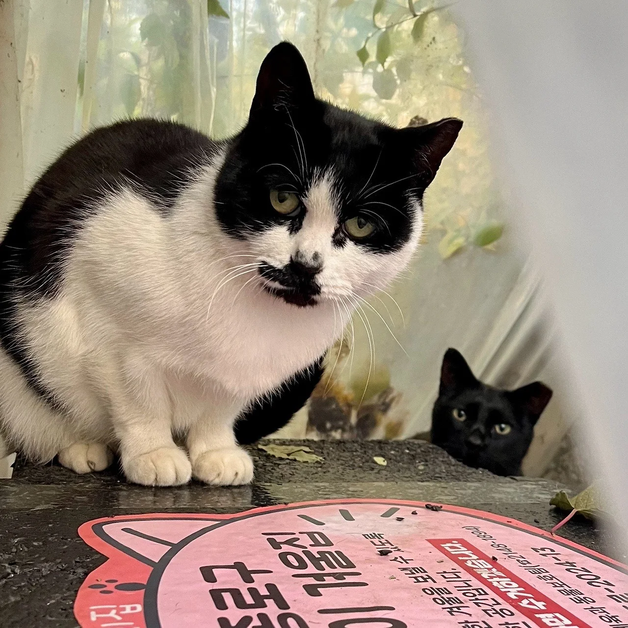 output%EF%BC%BF2230701358.jpg?type=w1600