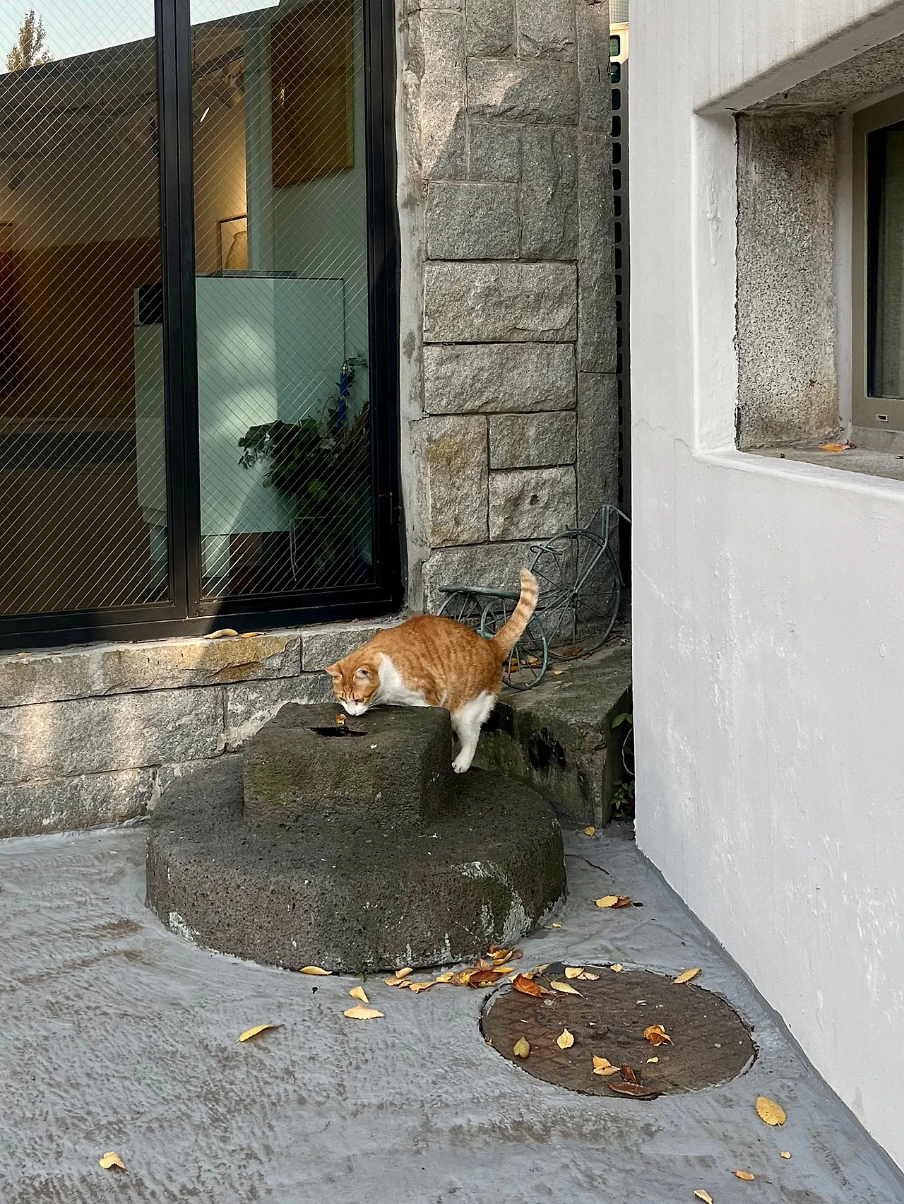 IMG%EF%BC%BF4572.jpg?type=w1600