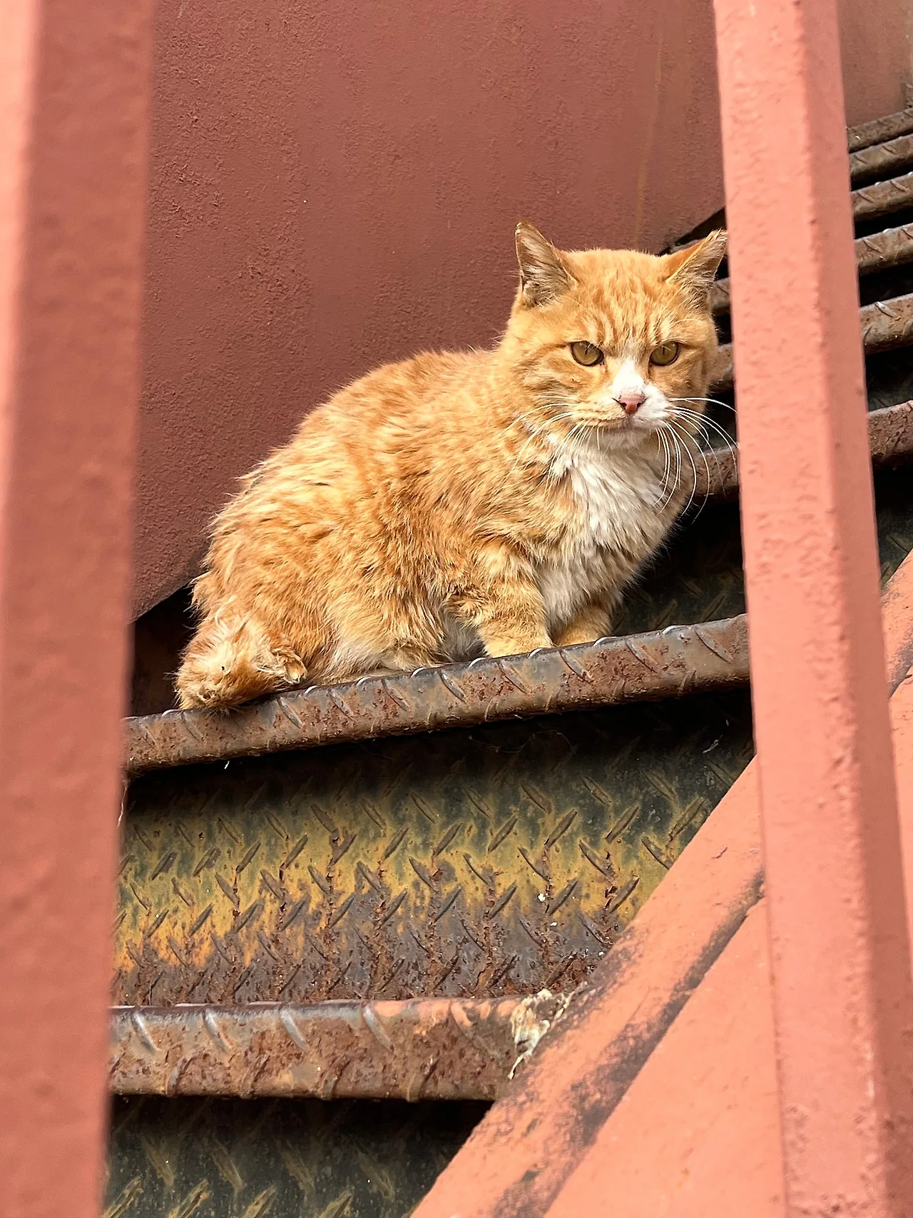 IMG%EF%BC%BF8786.jpg?type=w1600