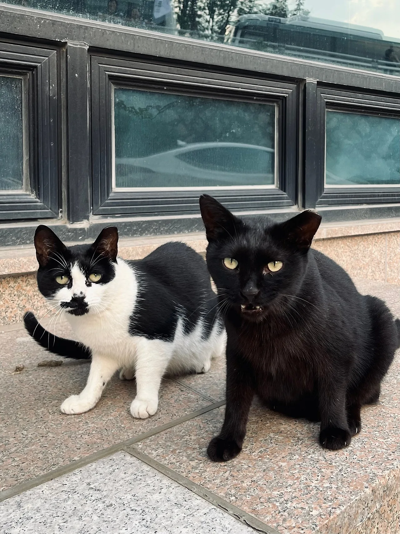 IMG%EF%BC%BF9981.jpg?type=w1600