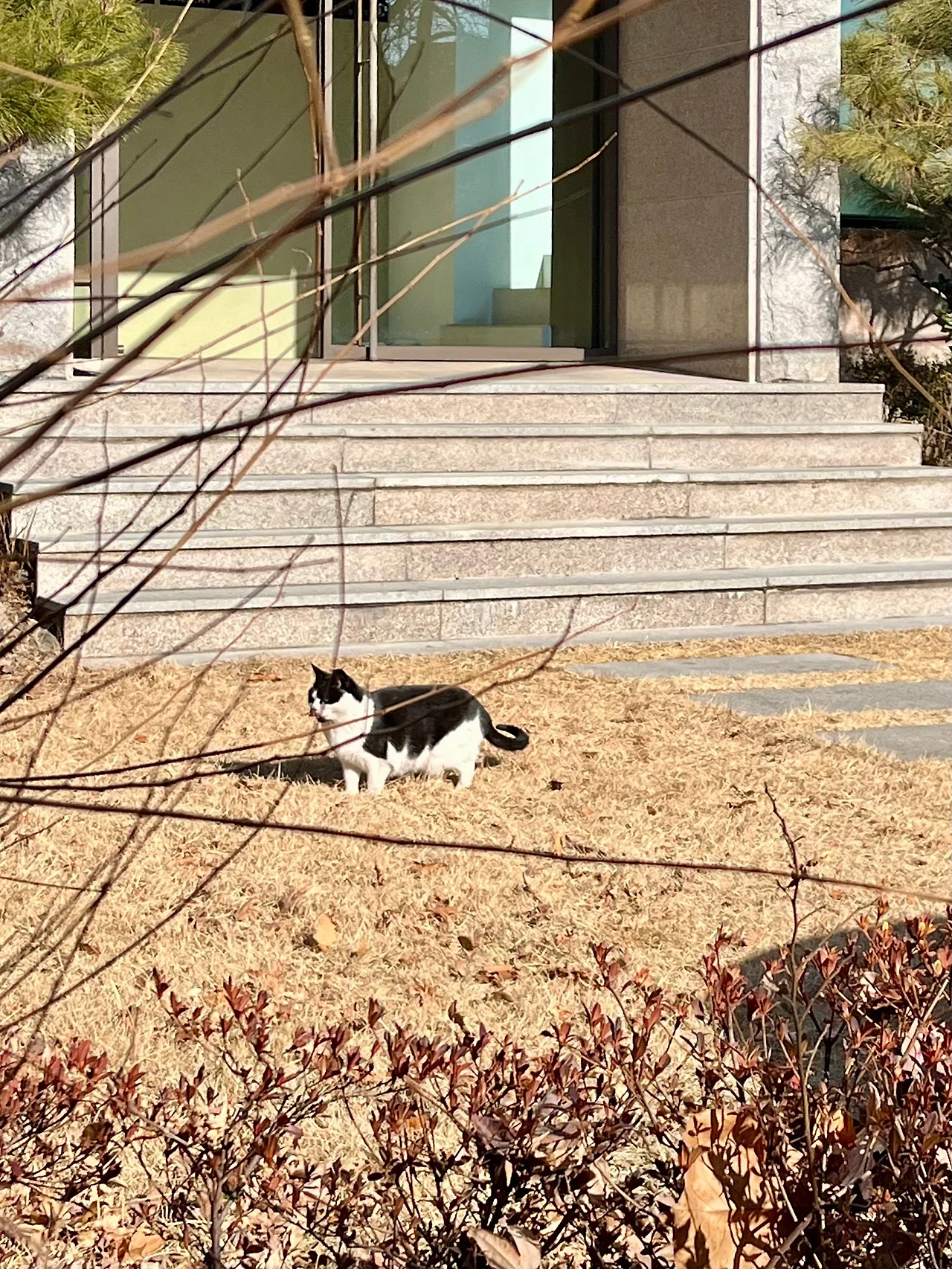 IMG%EF%BC%BF0735.jpg?type=w1600