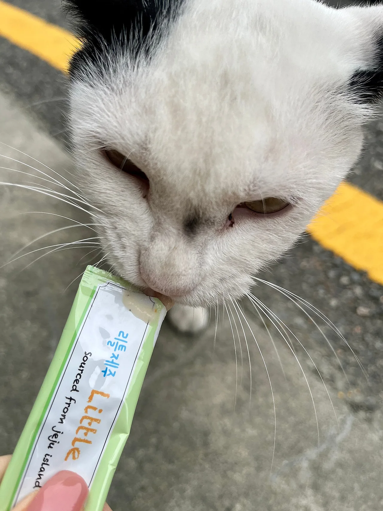 IMG%EF%BC%BF1481.jpg?type=w1600