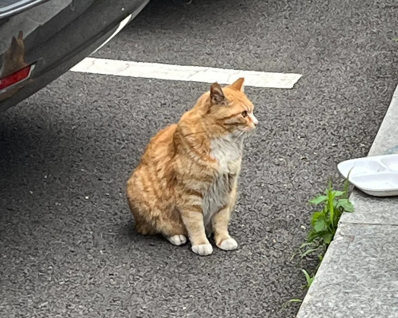 IMG%EF%BC%BF4292.jpg?type=w1600