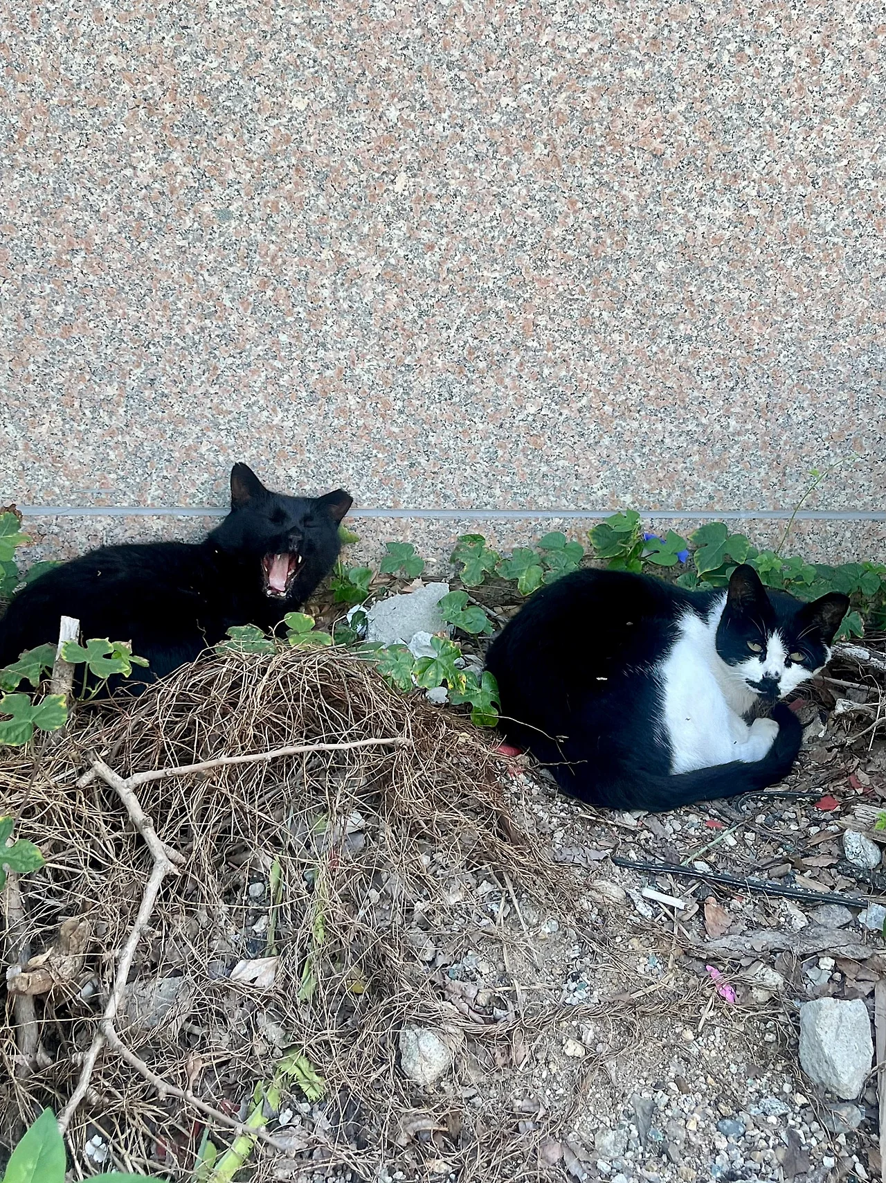 IMG%EF%BC%BF0923.jpg?type=w1600