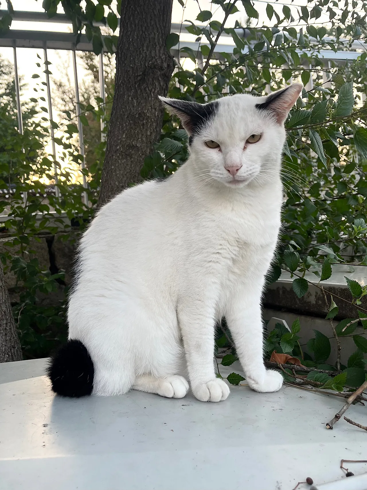 IMG%EF%BC%BF0535.jpg?type=w1600