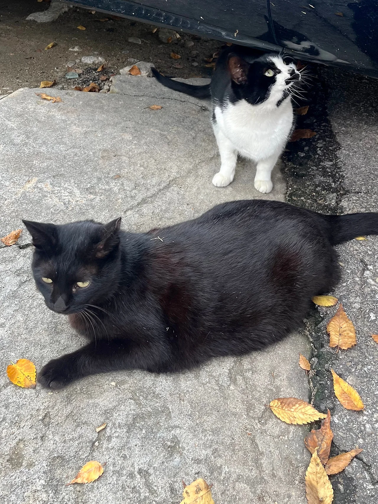 IMG%EF%BC%BF3285.jpg?type=w1600