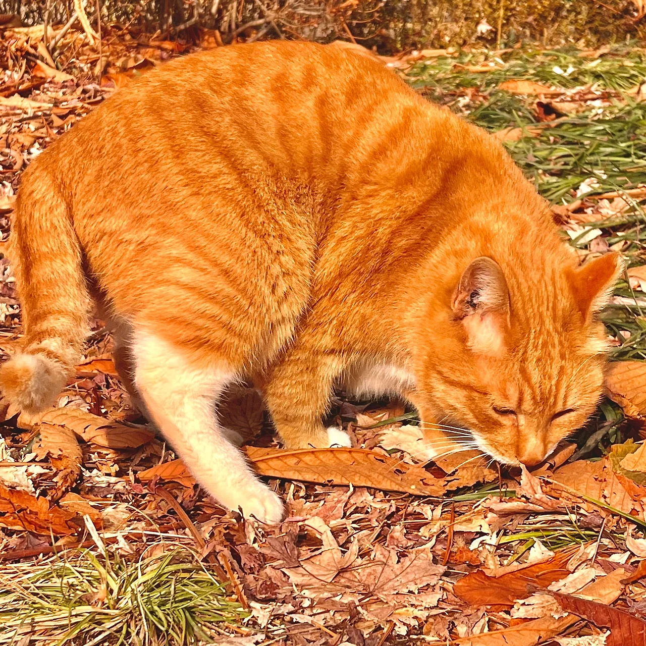 IMG%EF%BC%BF9915.jpg?type=w1600