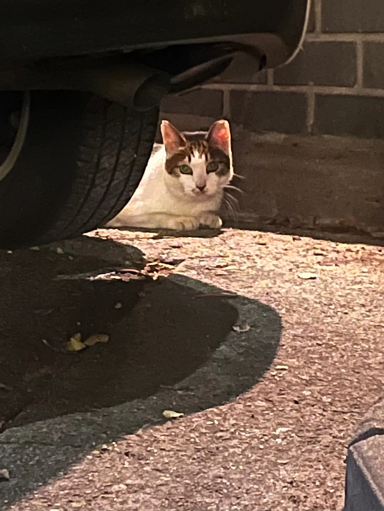 IMG%EF%BC%BF1430.jpg?type=w1600