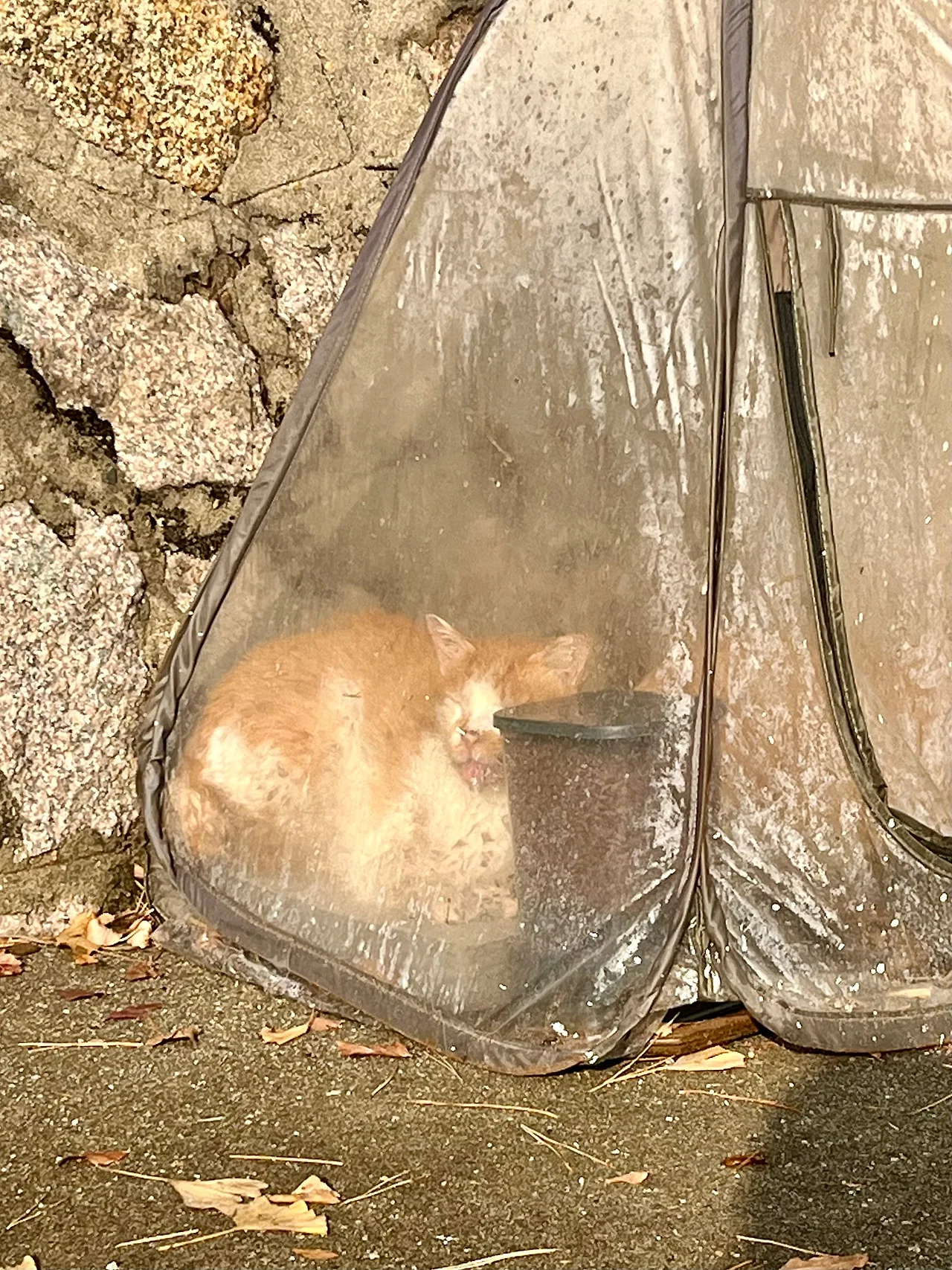 IMG%EF%BC%BF9383.jpg?type=w1600