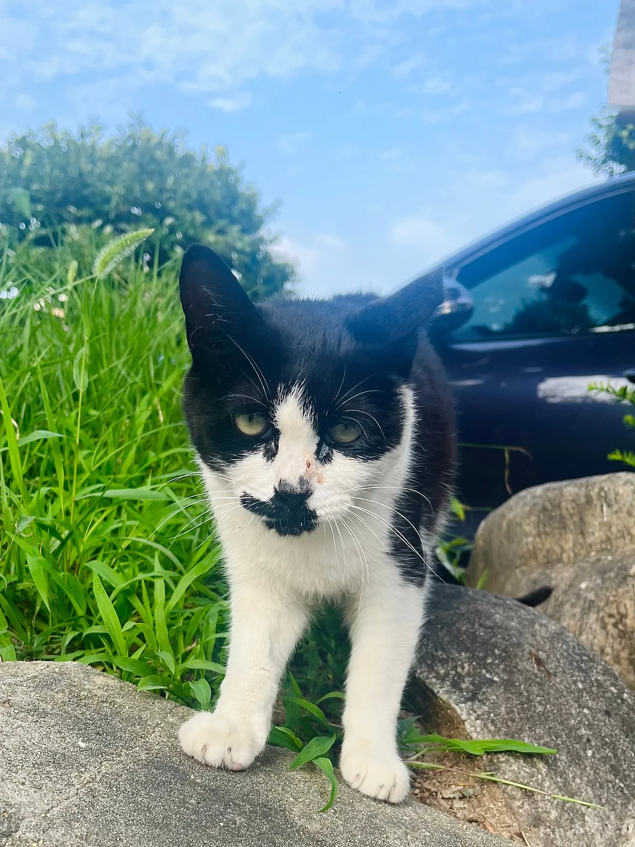 IMG%EF%BC%BF6961.jpg?type=w1600