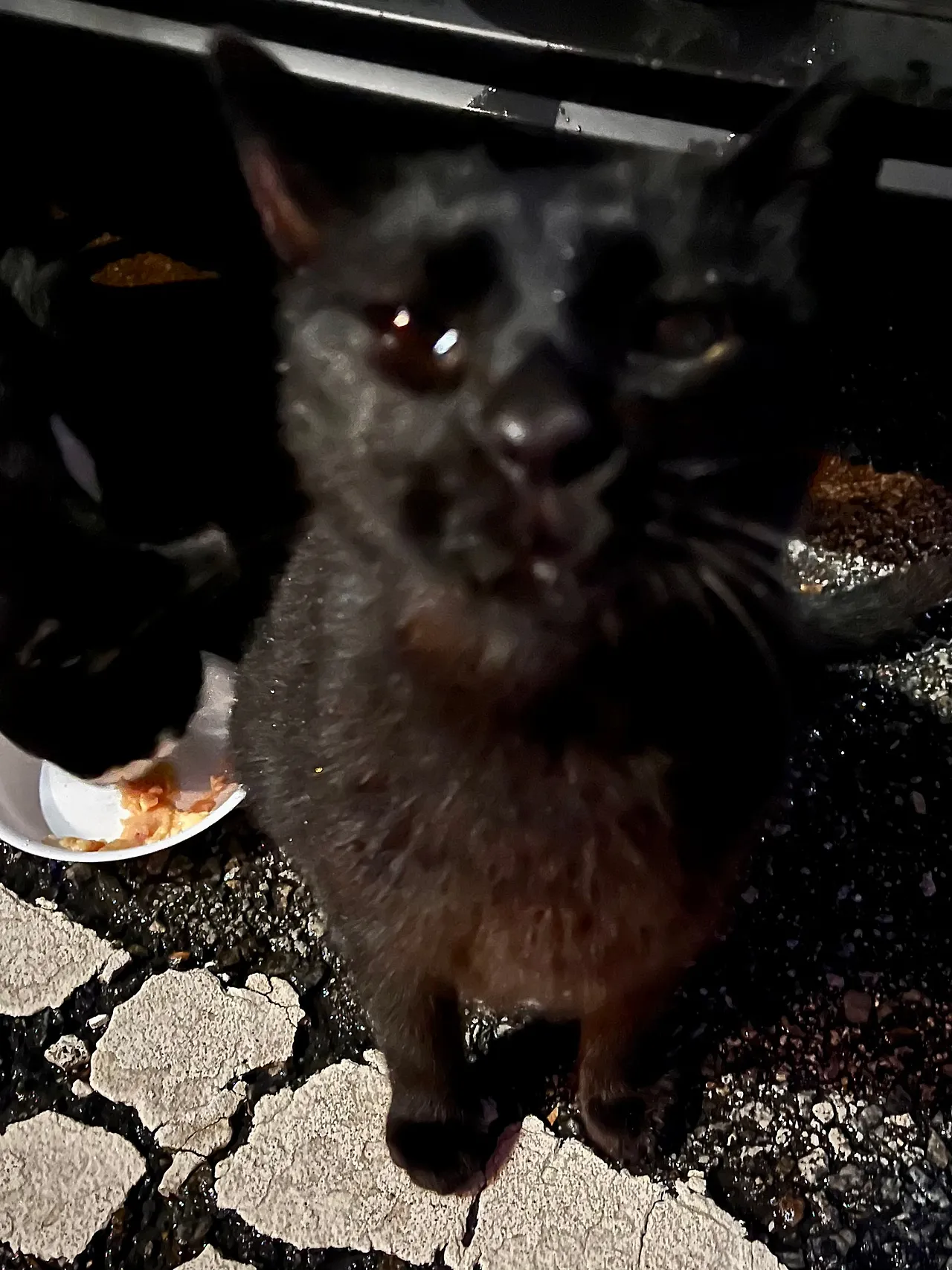 IMG%EF%BC%BF1494.jpg?type=w1600